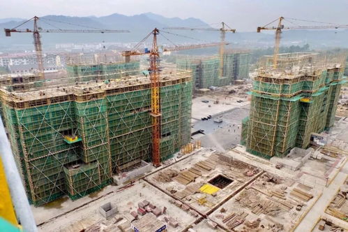 建筑工程质量潜在缺陷保险 idi ,国际和国内情况